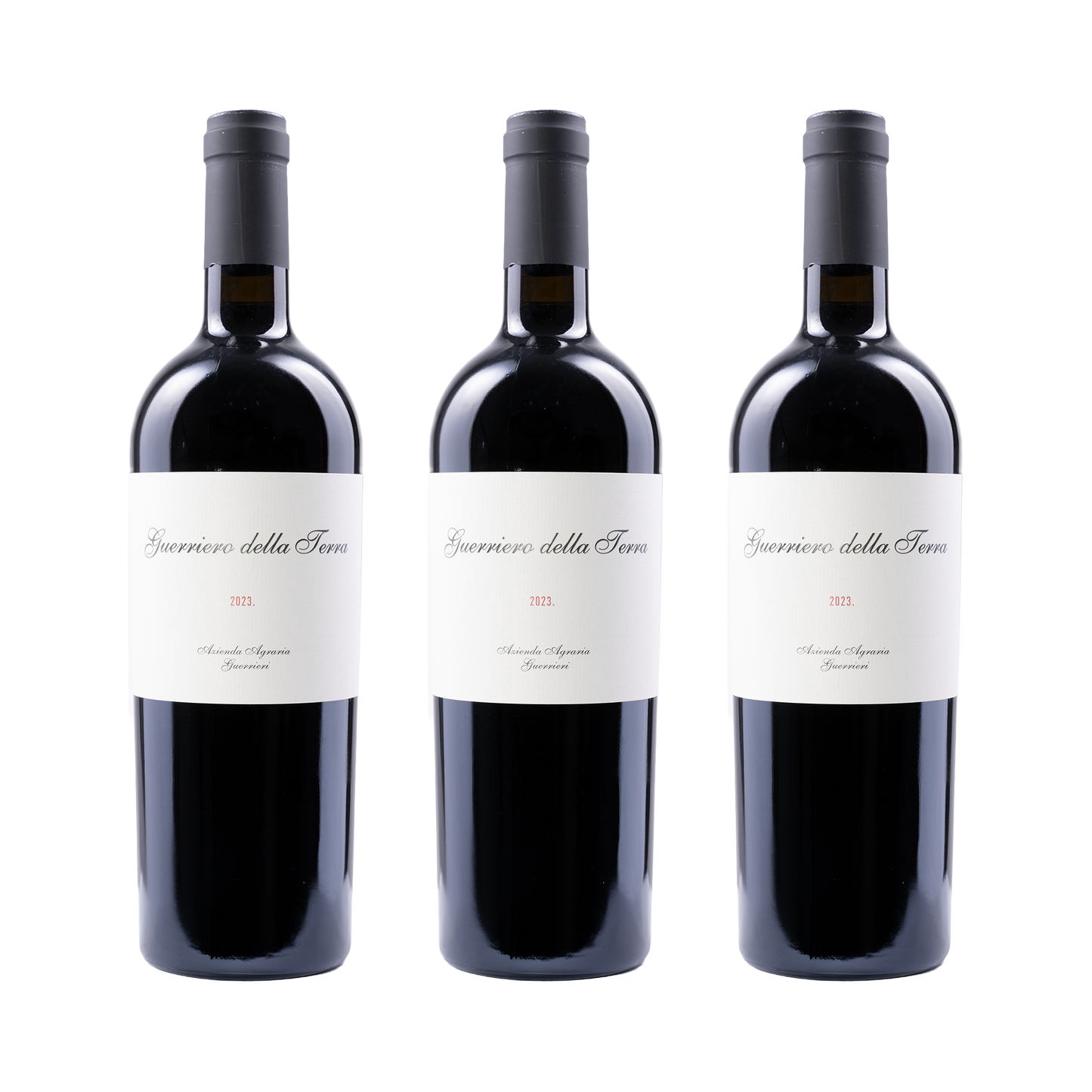 Guerriero della Terra 2023 — 3× 750 ml