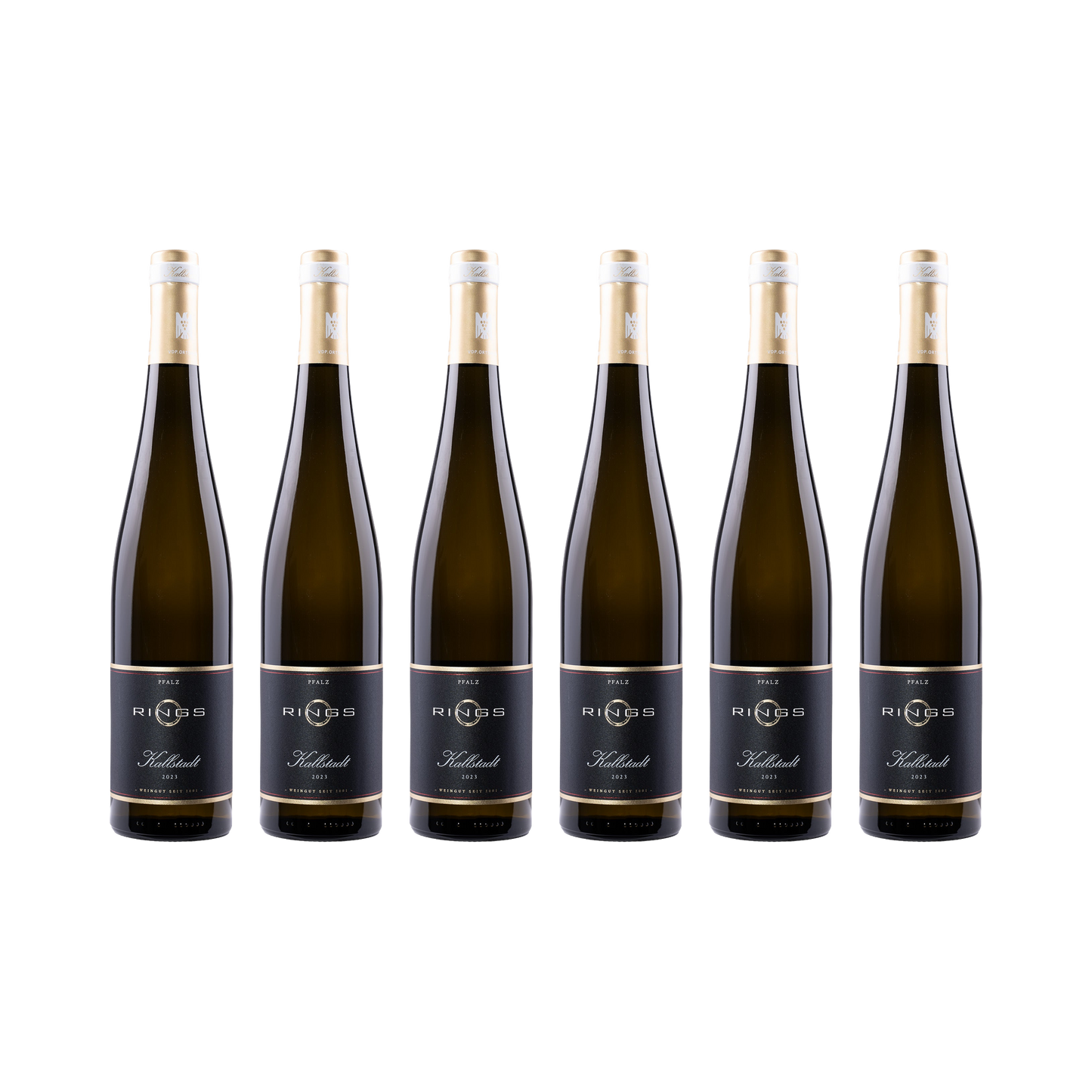 Kallstadt Riesling 2023 — 6× 750 ml
