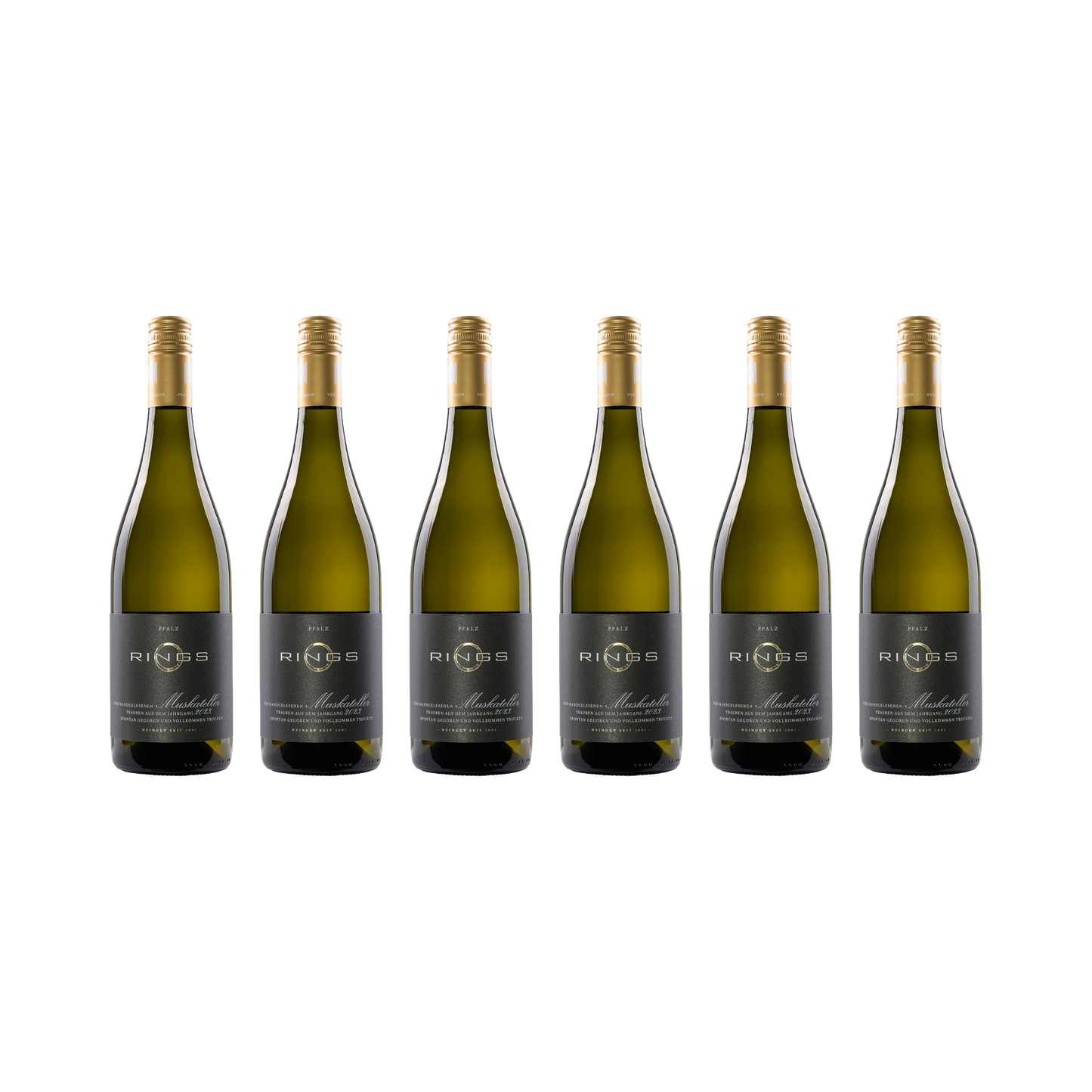 Muskateller 2023 — 6× 750 ml
