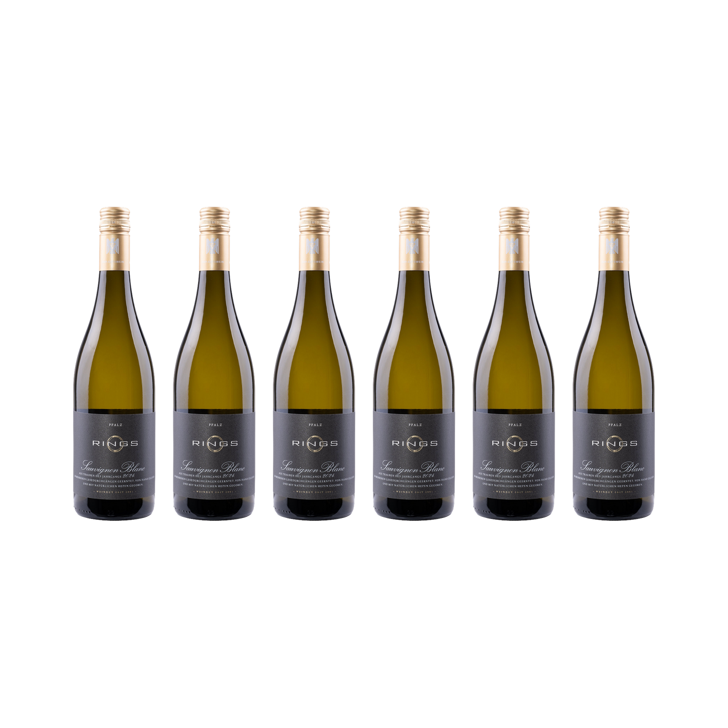 Sauvignon Blanc 2024 — 6× 750 ml