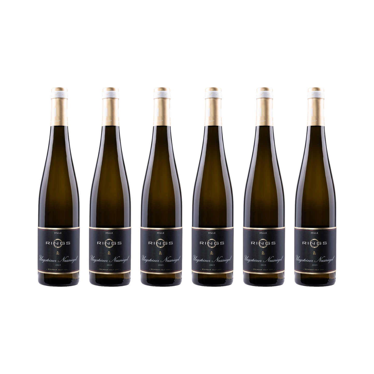 Ungsteiner Nussriegel Riesling 2023 — 6× 750 ml