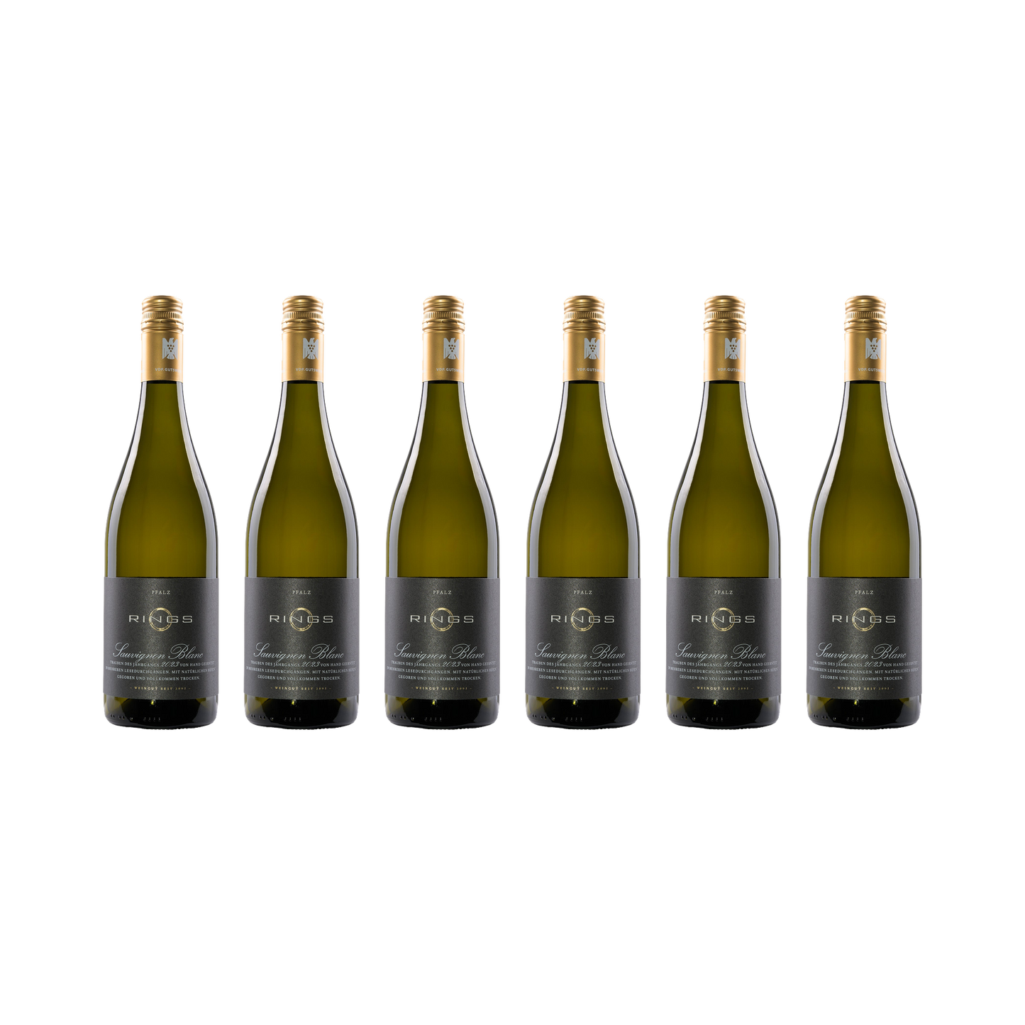 Sauvignon Blanc 2023 — 6× 750 ml