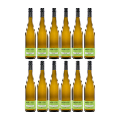 Anette Closheim  Blanc 12er Weinpaket