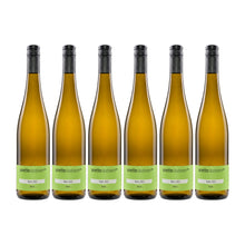 Anette Closheim  Blanc 6er Weinpaket