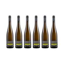 Riesling Kabinett – 2025 – 6× 750 ml