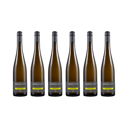 Riesling Kabinett – 2025 – 6× 750 ml