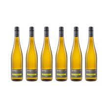 Riesling mit Freunden – 2024 – 6× 750 ml