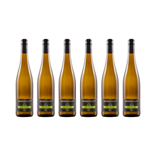 Sauvignon Blanc savvy – 2024 – 6× 750 ml