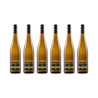 Sauvignon Blanc savvy – 2024 – 6× 750 ml