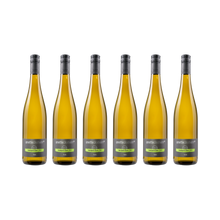 Sauvignon Blanc savvy – 2025 – 6× 750 ml