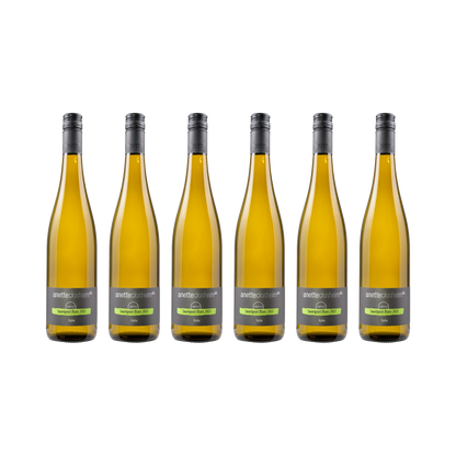 Sauvignon Blanc savvy – 2025 – 6× 750 ml