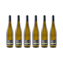 Sauvignon Blanc savvy – 2025 — 6× 750 ml
