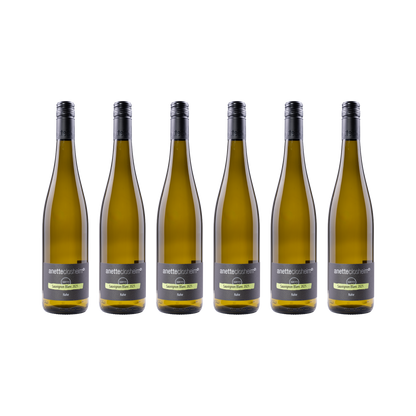 Sauvignon Blanc savvy – 2025 — 6× 750 ml