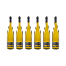 Weißer Burgunder m.F. – 2024 – 6× 750 ml
