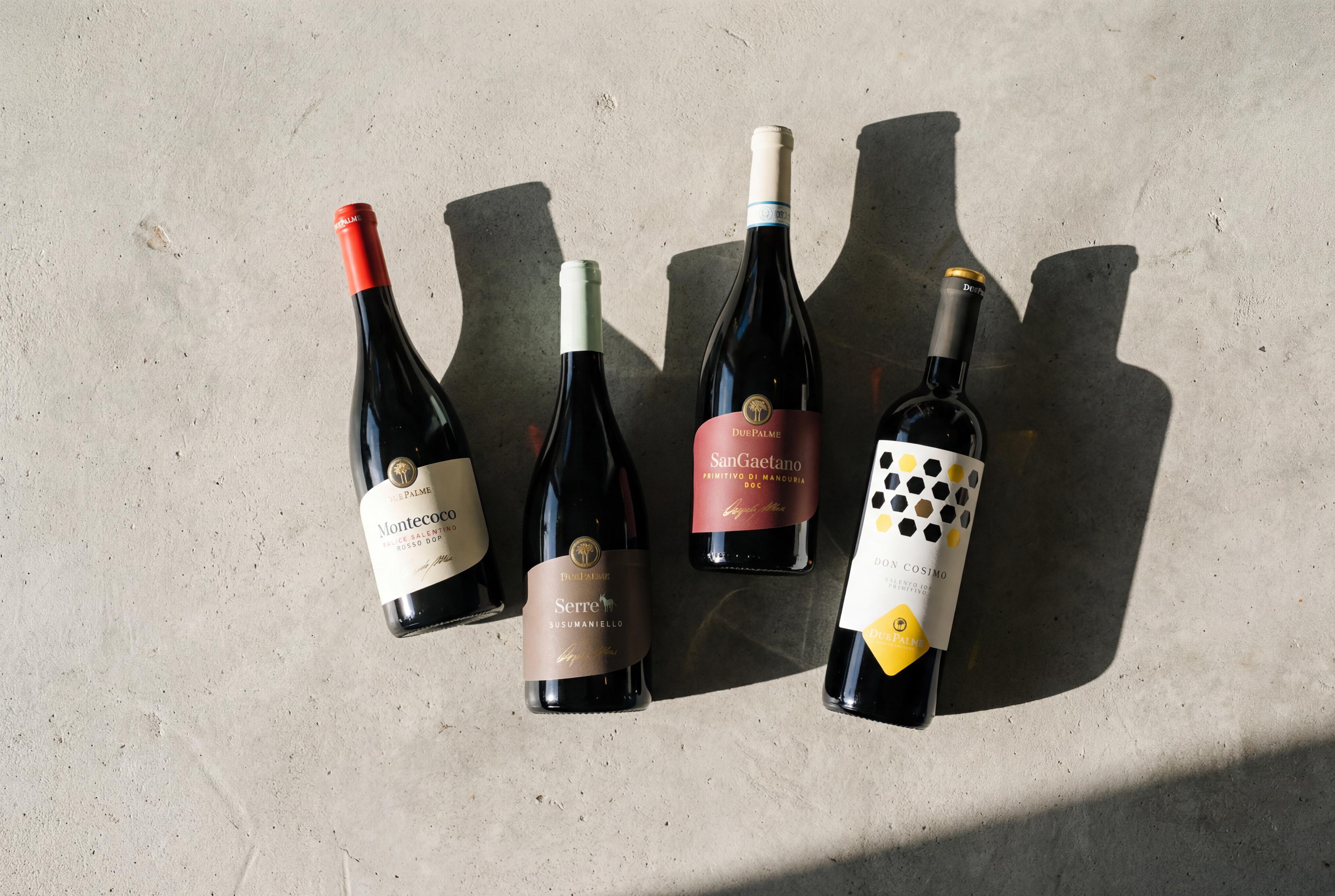 Cantine Due Palme – Ausgezeichnete Weine aus Apulien