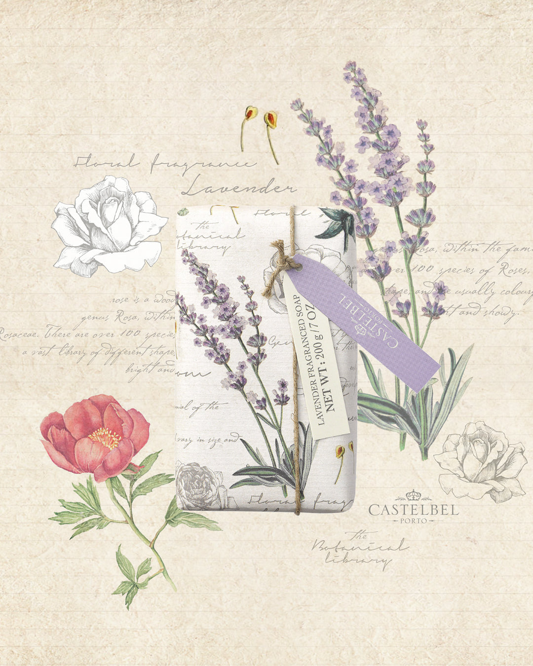 Duftseife Lavendel – Botanical Library – Moodbild