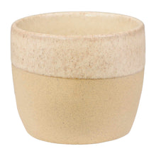 Costa Nova  Espresso Cup Arenito  creme