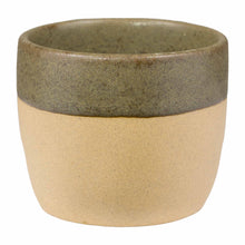 Costa Nova  Espresso Cup Arenito  olive