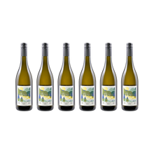 FLEIN Sauvignon Blanc – Traubensaft alkoholfrei — 6× 750 ml