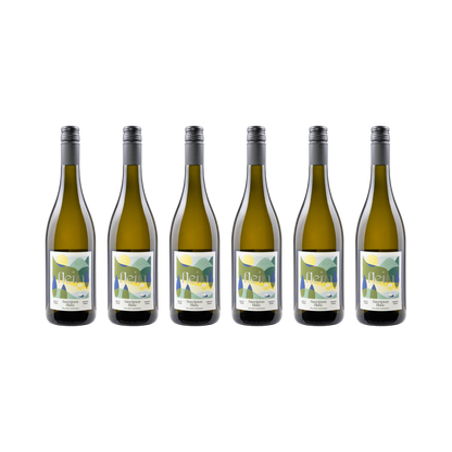 FLEIN Sauvignon Blanc – Traubensaft alkoholfrei — 6× 750 ml