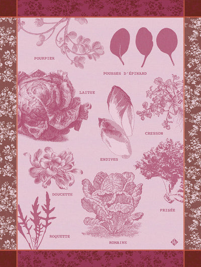Geschirrtuch – Salades Illustrées – Chicorée
