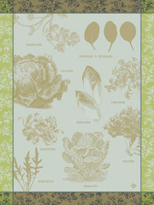 Geschirrtuch  Salades Illustrées  Endivie