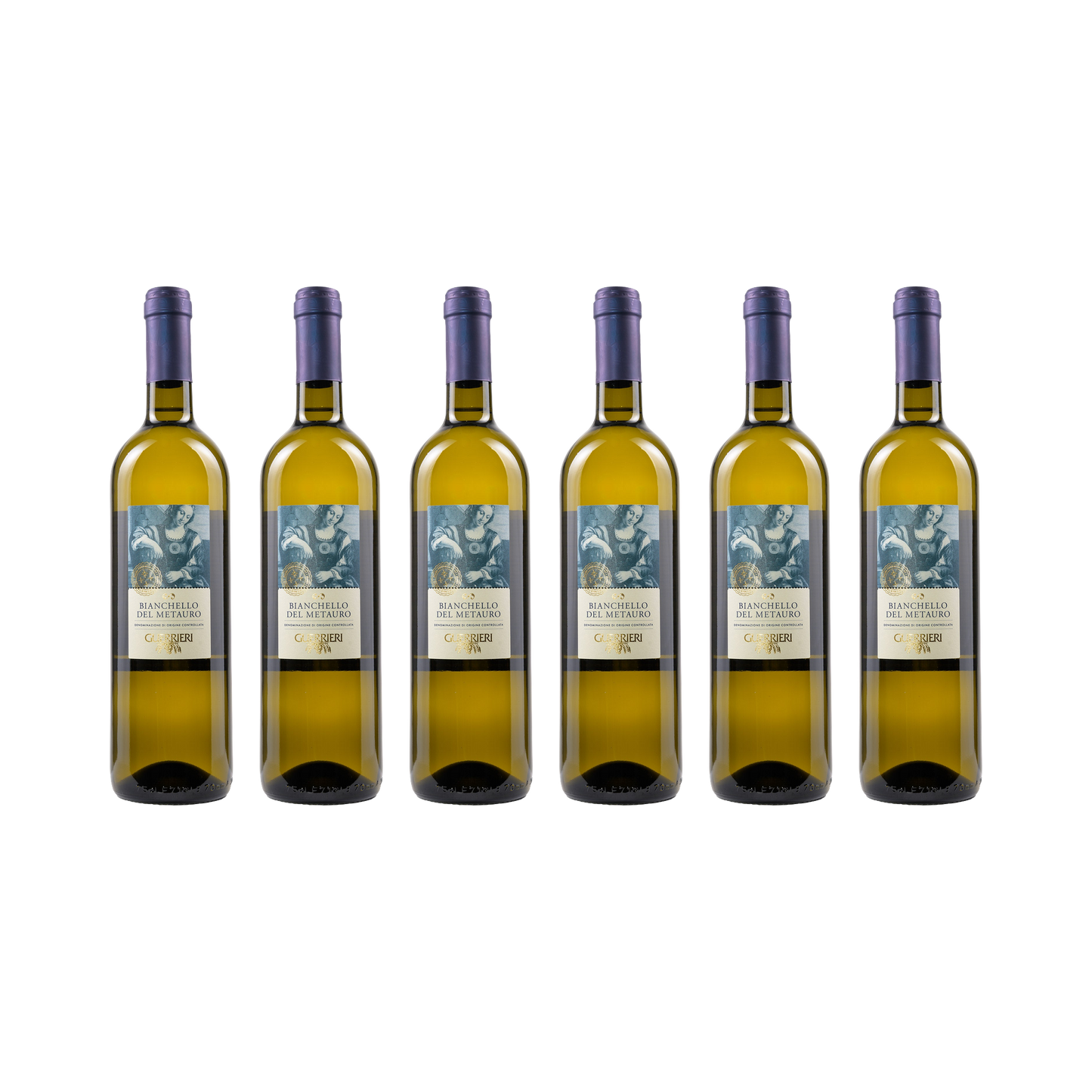 Bianchello del Metauro DOC – 2024 — 6× 750 ml