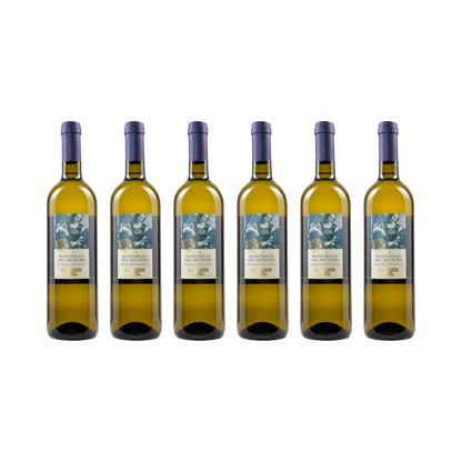 Bianchello del Metauro DOC – 2024 — 6× 750 ml