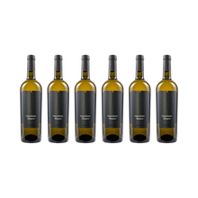 Bianco Marche Bianco IGT – 2024 — 6× 750 ml