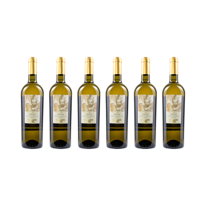 Celso Bianchello del Metauro Superiore DOC – 2023 — 6× 750 ml