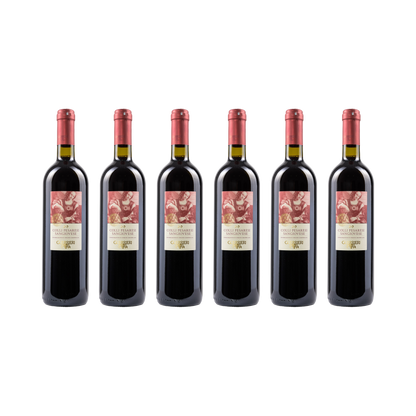 Colli Pesaresi Sangiovese DOC – 2025 — 6× 750 ml