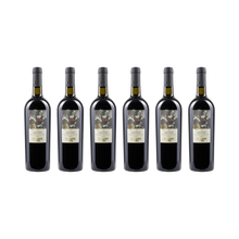 Galileo Colli Pesaresi Sangiovese Riserva DOC – 2023 — 6× 750 ml