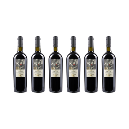 Galileo Colli Pesaresi Sangiovese Riserva DOC – 2023 — 6× 750 ml