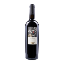 Guerrieri Galileo Colli Pesaresi Sangiovese Riserva DOC 2023