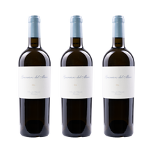 Guerriero del Mare 2024 — 3× 750 ml