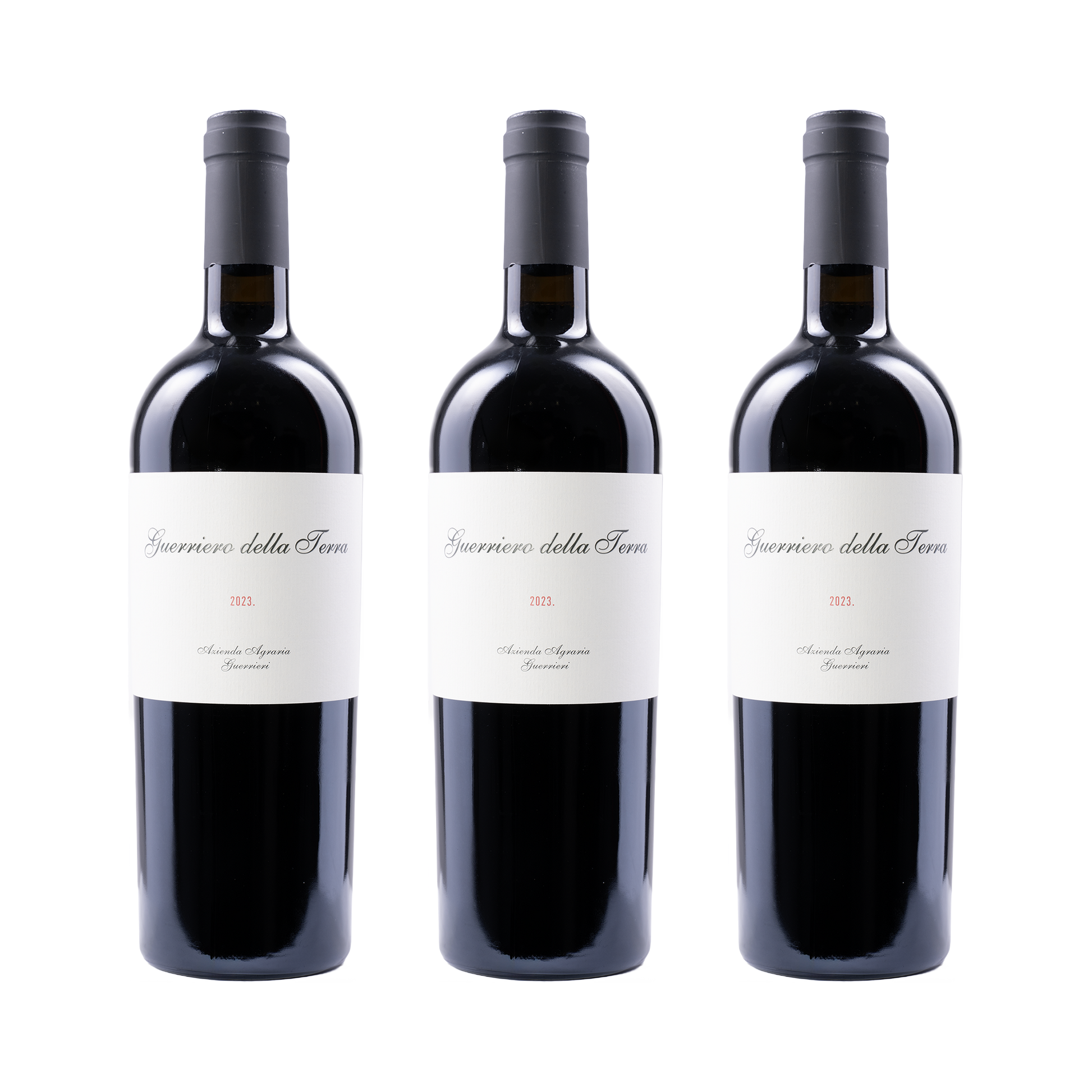 Guerriero della Terra 2023 — 3× 750 ml