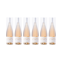Rosa dei Venti Marche Rosato IGT – 2025 — 6× 750 ml