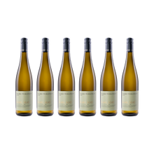 Karl May Muskateller 2025 — 6er Set