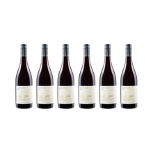 Pinot Noir – 2023 — 6er Set