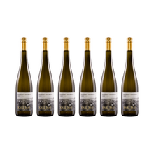 Riesling Osthofen – 2021 — 6er Set