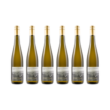 Riesling Osthofen – 2022 — 6er Set