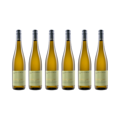 Sauvignon Blanc – 2024 — 6er Set