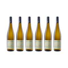 Karl May Sauvignon Blanc 2025 [BIO] — 6er Set
