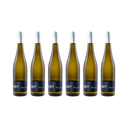 Blanc 2025 – 6er-Set (6× 750 ml)