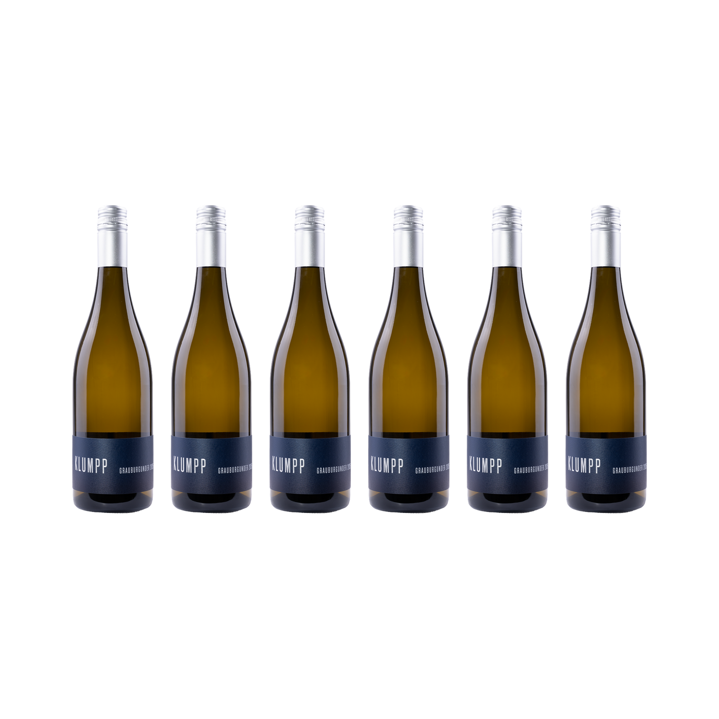 Grauburgunder 2025 – 6er-Set (6× 750 ml)