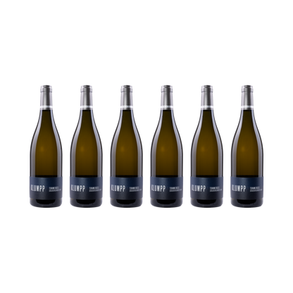 Grauburgunder Tonmergel 2024 – 6er-Set (6× 750 ml)