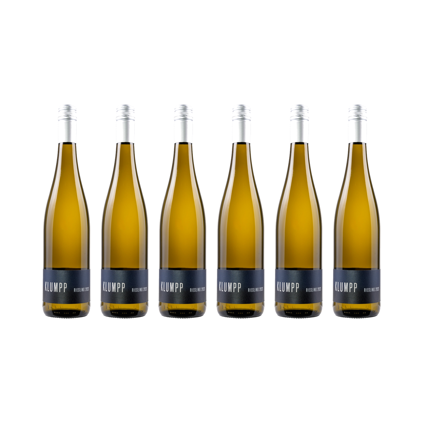 Riesling 2023 – 6er-Set (6× 750 ml)
