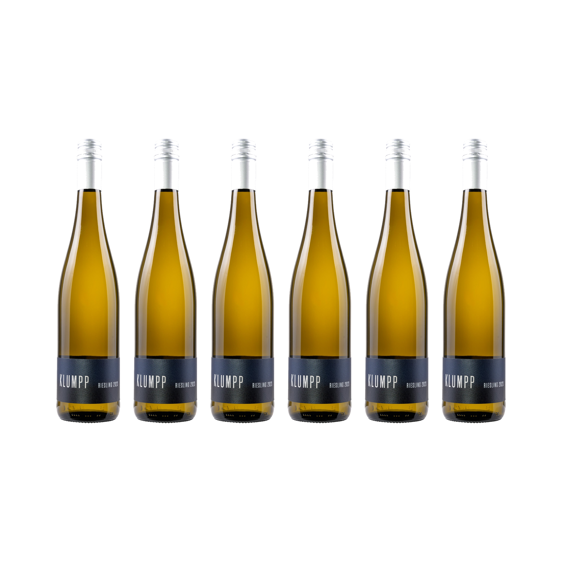 Riesling 2023 – 6er-Set (6× 750 ml)