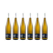 Riesling 2023 – 6er-Set (6× 750 ml)