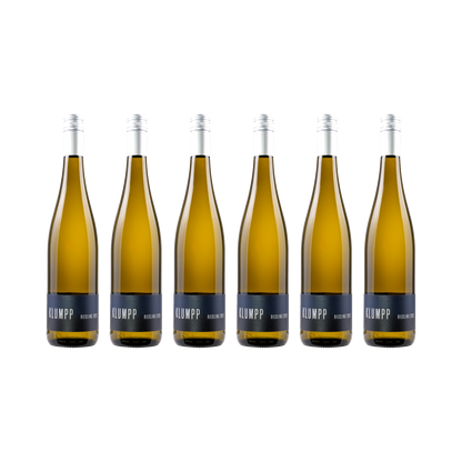 Riesling 2023 – 6er-Set (6× 750 ml)